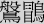 般冒