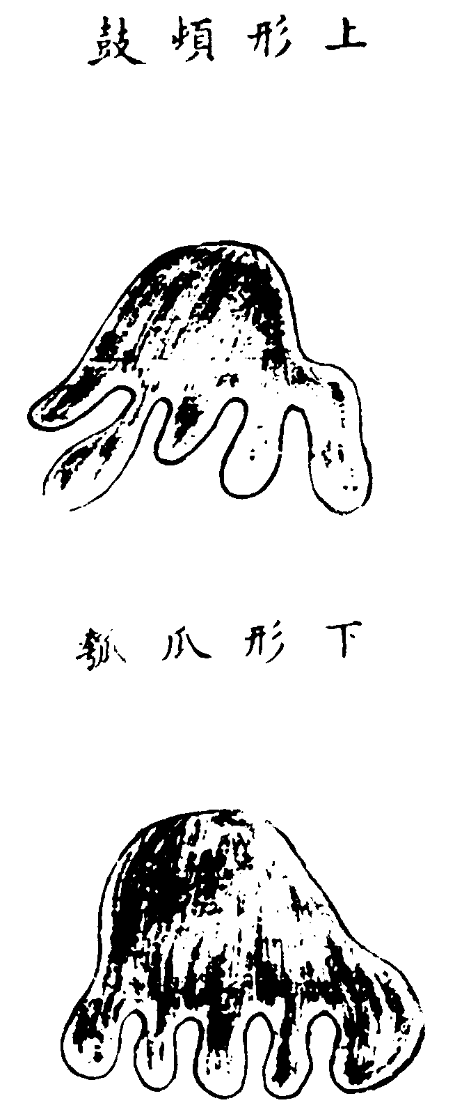 〔插圖〕