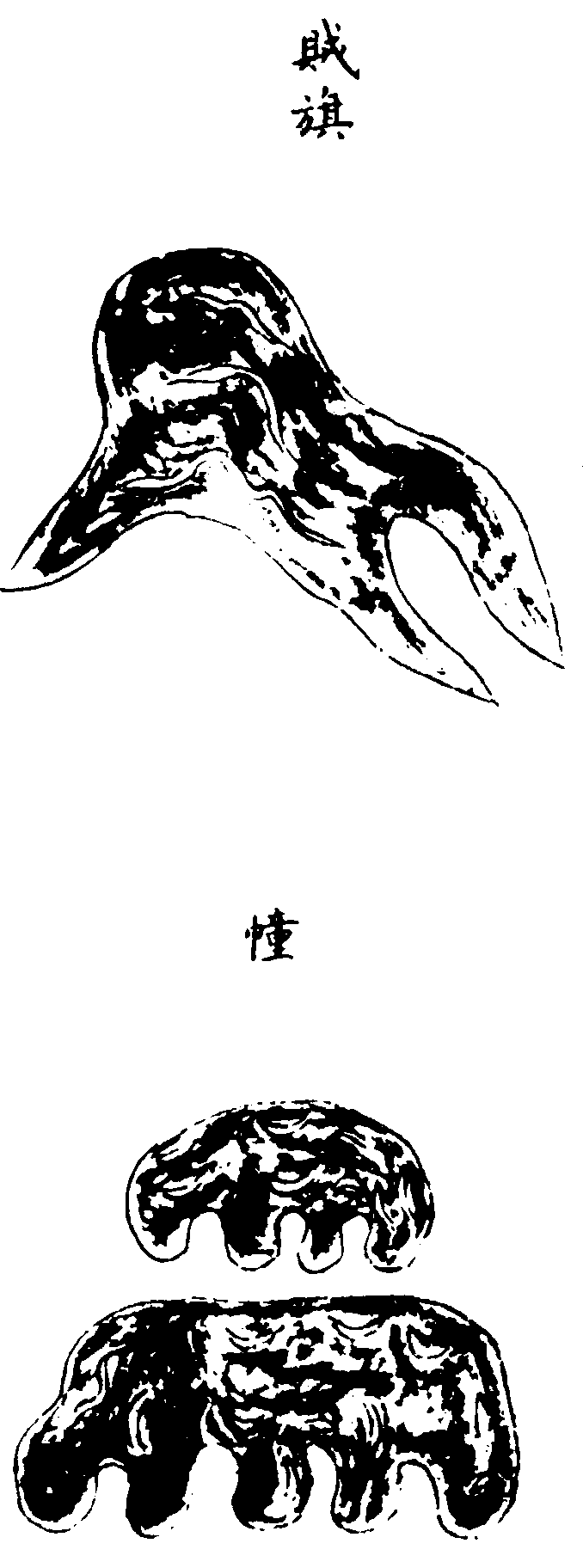 〔插圖〕