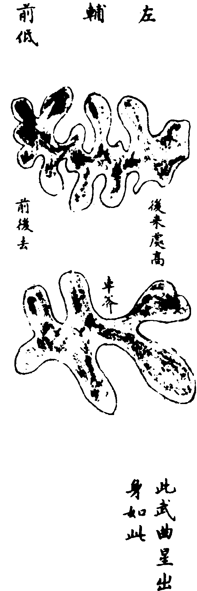 〔插圖〕