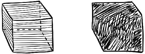 插圖