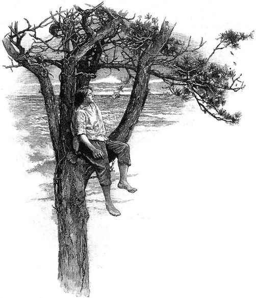 插圖