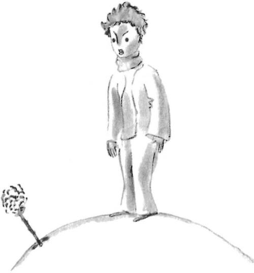 《小王子》插圖