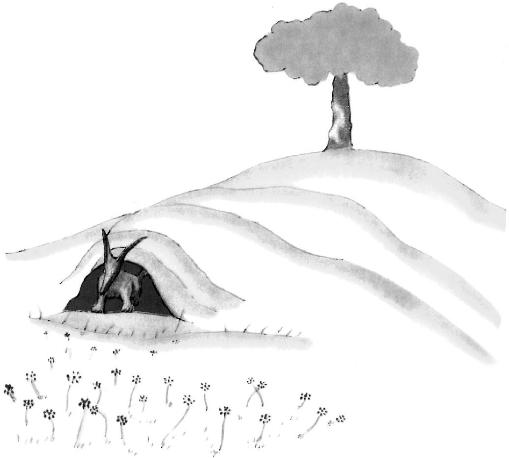 《小王子》插圖