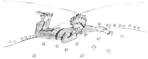《小王子》插圖