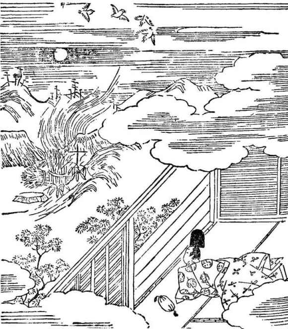 插圖